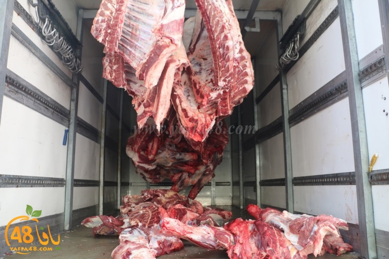 lod8om ada73y (110).JPG